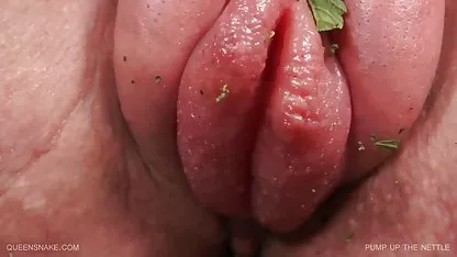 Tetangga memiliki partai video bokep barat sub indo kecil, Susan!